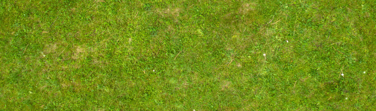 texture of green grass on the lawn, seamless