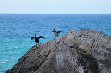 man jumping on the rocks