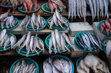 시장에서 진열된 생선들의 모습