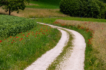 Obraz premium wanderweg