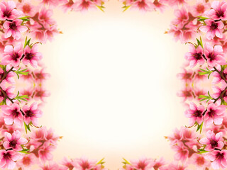 Obraz na płótnie Canvas Pink peach blossom frame background