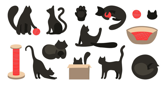 Vector set of black cats silhouettes in flat style. Vector callip art animal. The cat sleeps, plays, sits, licks. Scratching post, bedding, ball for the game. Cute cats for flat design