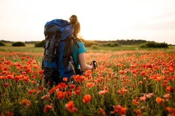 Rear view of woman with backpack and sticks stands in poppy field and looking into distance