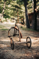 Fototapeta premium Children's antique, rusted tricycle on road with grass