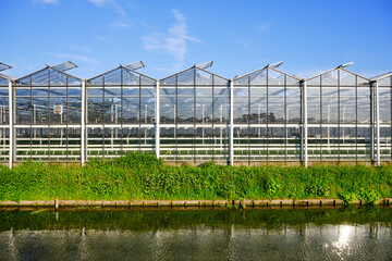 The exterior glass facade of commercial greenhouse with water channel. the Netherlands