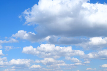 Naklejka na ściany i meble White fluffy cumulus clouds on a background of blue sky on a sunny day.