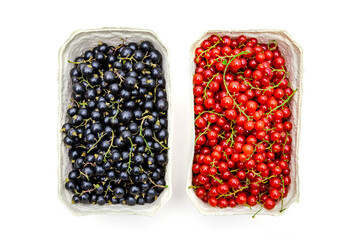 Schwarze und Rote Johannisbeeren
