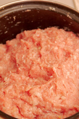 Raw minced meat prepared for making dumplings at home