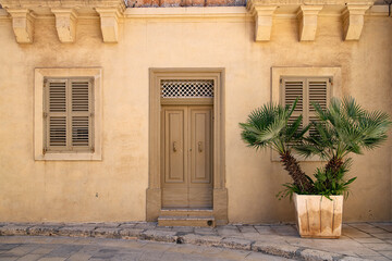 Fototapeta na wymiar Vintage facade of a yellow building. Wooden brown door. The entrance is decorated with a pot with a large palm tree.