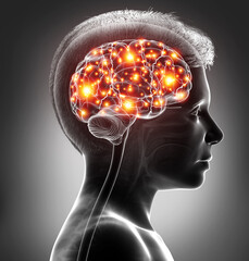 Obraz premium 3d rendered, medically accurate illustration of a young boy active brain