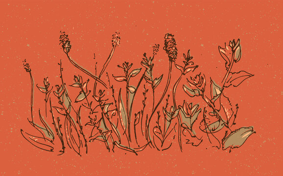 Grasses. Natural Landscape Background. Modern Illustration Vector.