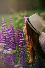 A girl with her hair in a lupine field looks at the setting sun and her profile is highlighted by the sun.