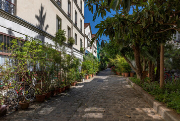 Paris, France - June 24, 2020: The Figuier street with its vegetation in Paris 11th district