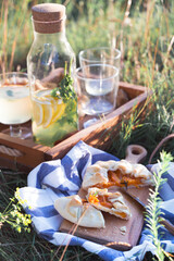  picnic in a meadow