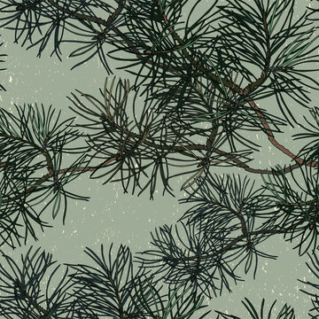 Seamless Pattern With Pine Branches