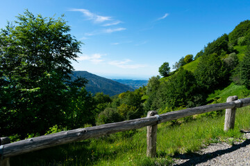 Fototapeta na wymiar panorama Monte Lesima, Oltrepò Pavese