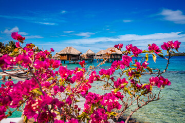 Beautiful tropical resort hotel at the sea