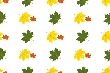 Fall of yellow maple leaves. Seamless texture.Autumn design.