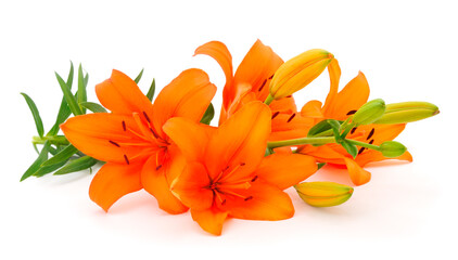 Bouquet of orange lilies. - Powered by Adobe