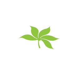 Leaf Logo Template vector symbol
