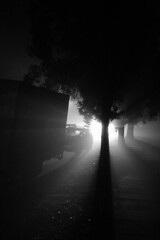 Fototapeta na wymiar Mist Night