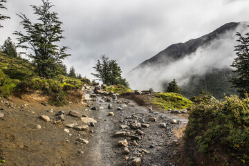 Path to Torres del Paine