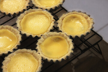 Freshly baked egg tarts