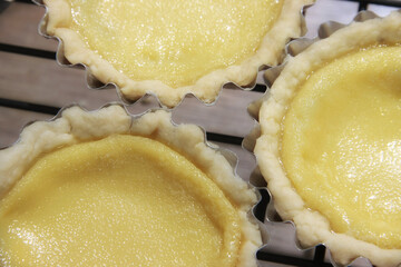 Freshly baked egg tarts