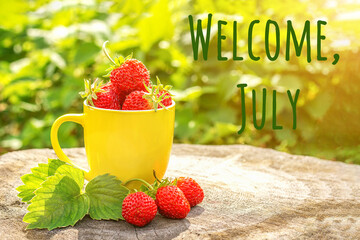 Welcome July text and red strawberry berries in yellow mug on stump in garden, summer sunny day....