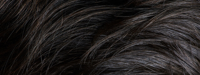 Haircare theme background