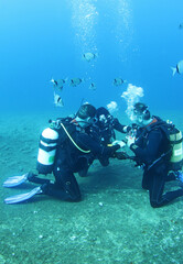 Diving instructor and group students in underwater exercise. Instructor teaches students to admire. Underwater scuba diving education and training.