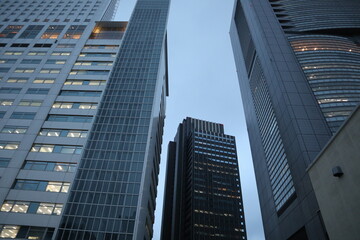 Naklejka premium 東京のビル