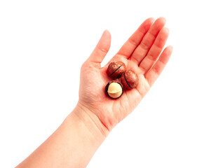 Three macadamia nuts, hold in a female hand, isolated on white background.