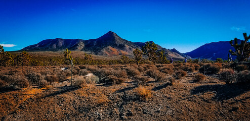 mountain landscape in autumn
