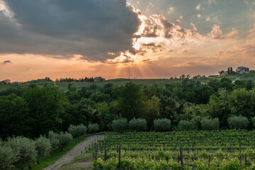 Spring stormy sunset in the vineyards of Collio Friulano, Friuli-Venezia Giulia, Italy