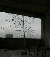 Chernobyl Pripyat Abandoned