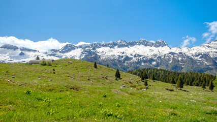 Spring day in the majestic Julian Alps, Friuli-Venezia Giulia, Italy