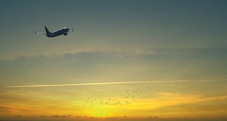 airplane in the sunset