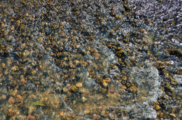 Cool freshness of mountain river fast stream in sunny summer day. Colorful pebbles under...