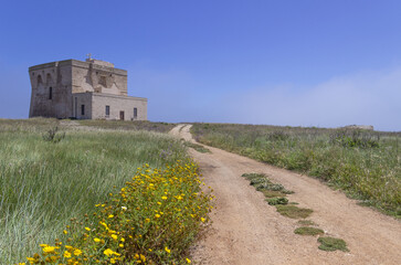 Fototapeta premium Nature Reserve of Torre Guaceto, Brindisi (Apulia)-ITALY- Nature sanctuary between the land and the sea: the medieval guard tower and in the background the sandy beach.