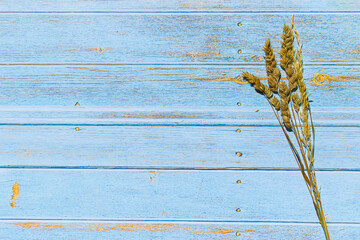 Fototapeta premium getrocknetes Gras auf Tisch