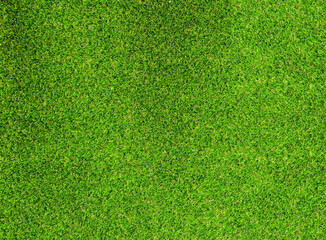 Fototapeta premium Top view Artificial Grass Ideal for use in the background