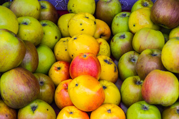 Organic apples on the market in Vilkovo. Ukraine
