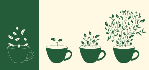 Tea with leaves - Vector illustration, decorative or logo design in simple minimal style - for tea, coffee or organic branding themes
