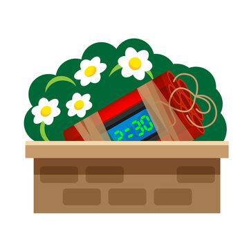 blast bomb of terrorist hidden in a plant pot isolated on white, explode a bomb dynamite with clock dial, red bomb drop and explosive is going to explode and blow up after countdown to blast