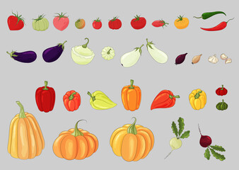 Vegetables set. Fresh vegetables collection. Tomatoes, onions, garlic, pumpkin, peppers, chili peppers, beets, eggplant, squash. Different vegetable icons isolated on light background. Organic food.