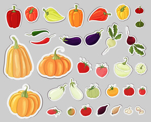 Vegetables nutrition stickers collection. Many types vegetables icons set. Vegan food,tomatoes, onions, garlic, pumpkin, peppers, chili peppers, beets, eggplant, squash. Organic food.