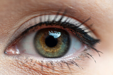 grünes menschliches rechtes Auge