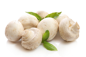 White champignons isolated on white background