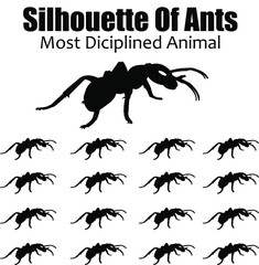Silhouette of ants with the text